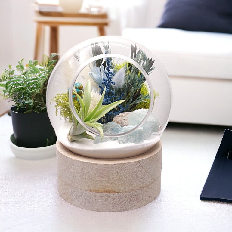 Glass bubble with wooden base terrarium with an airplant, dried flowers, moss and a crystal