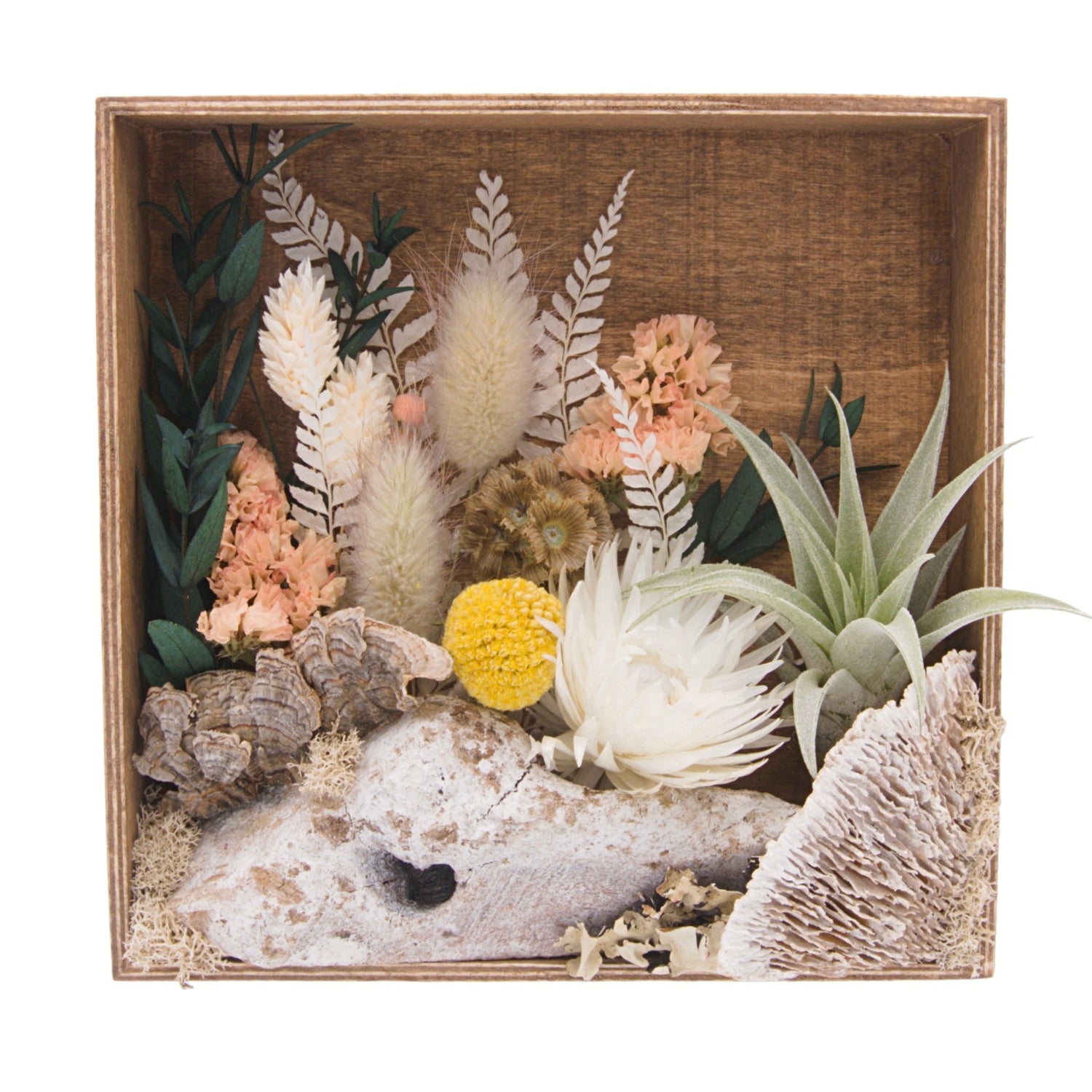Frame with airplants, moss, dried flowers and wood