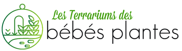 Plant Babies Terrariums