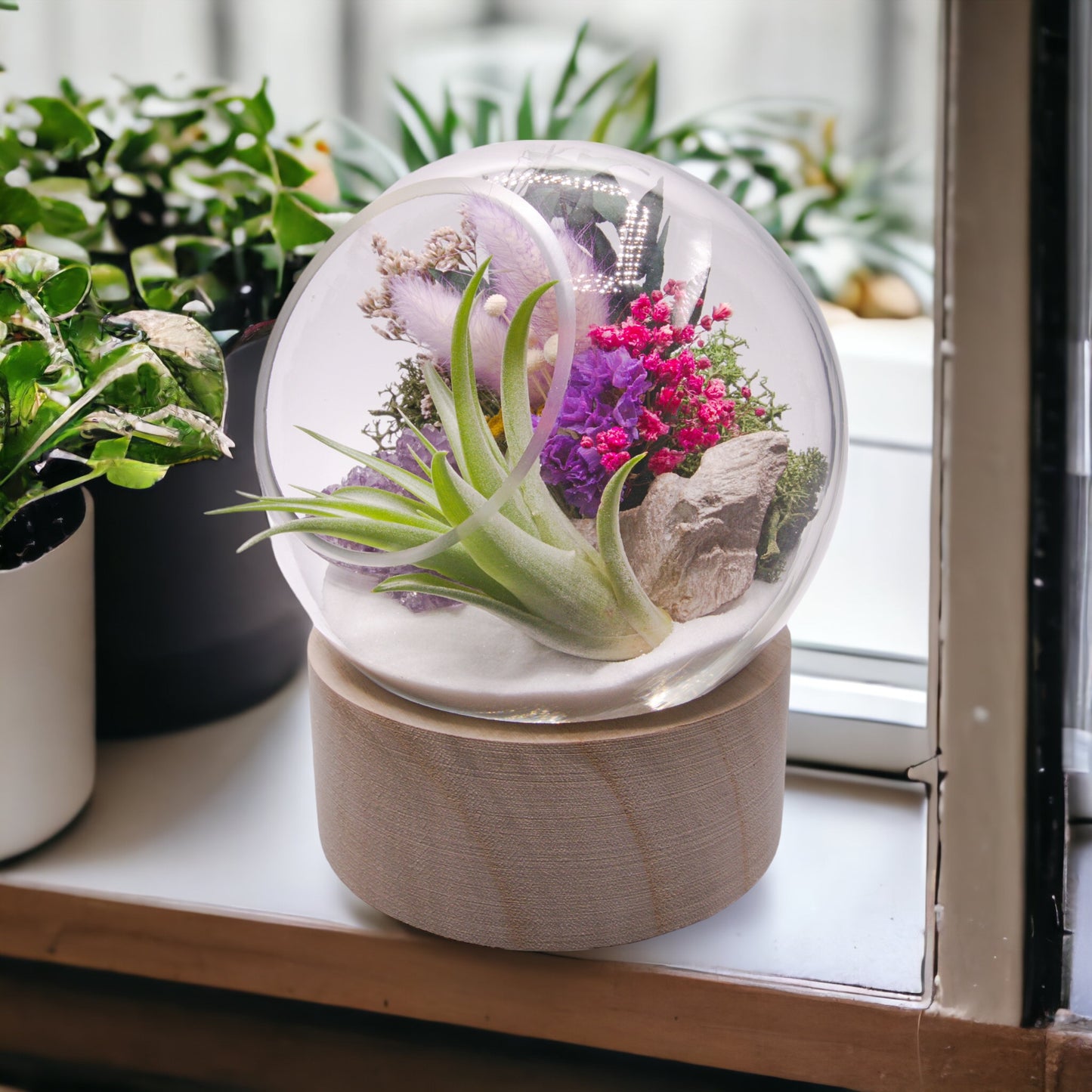 Glass bubble airplant terrarium with wooden base, dried flowers and amethyst crystal