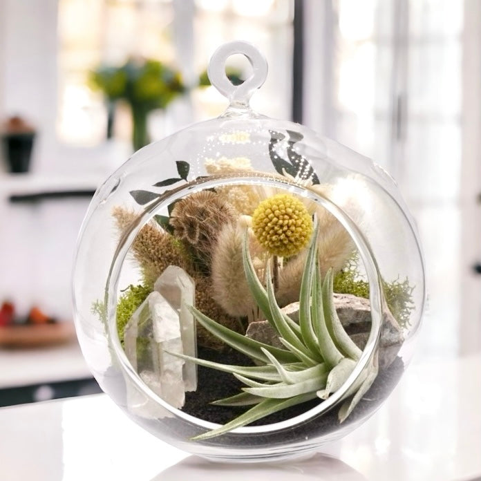 Bubble Airplant Terrarium - Quartz Towers