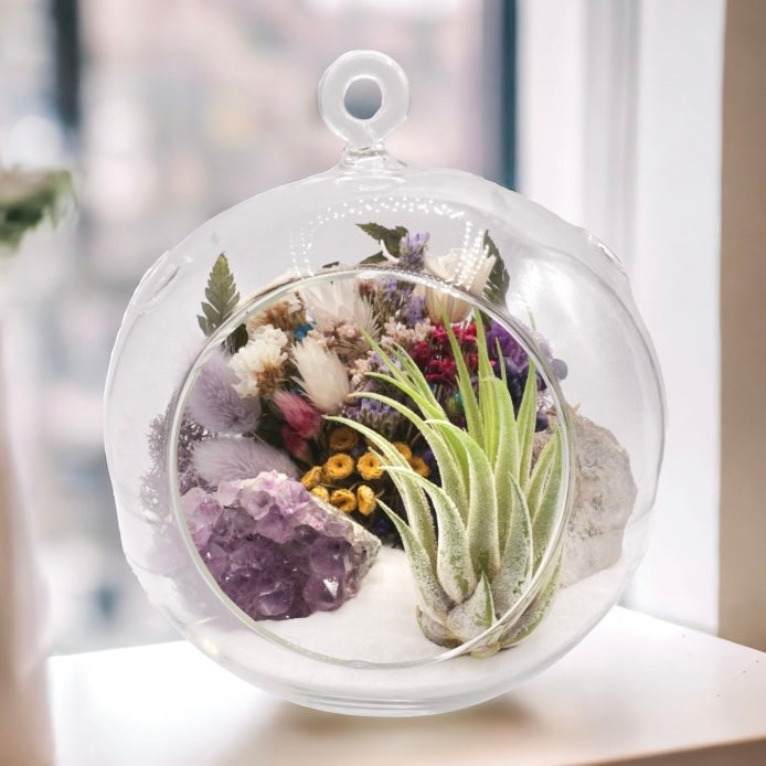 Bubble Airplant Terrarium - Amethyst Crystal