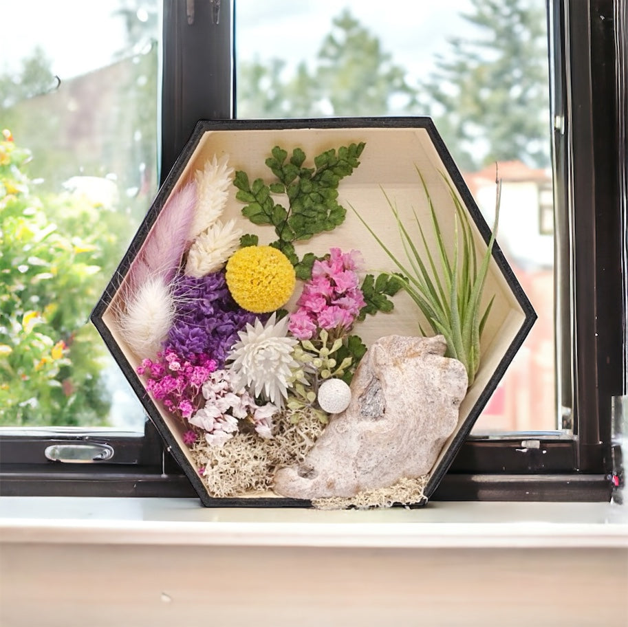 Airplant Art Frames - Hexagon Purple Flowers