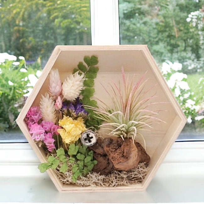 Hexagon wood box frame filled with dried purple flowers, moss, wood and an airplant