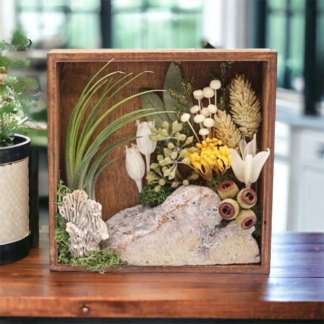 Walnut stained box frame filled with dried flowers, dried mushrooms, moss, wood and an airplant