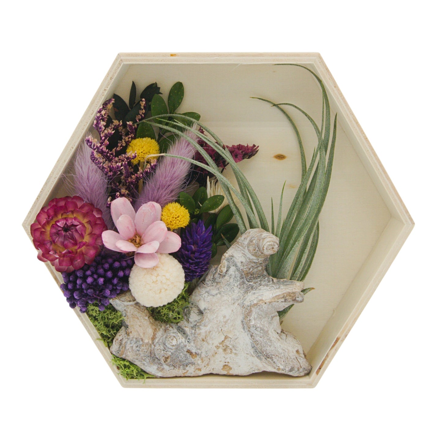 Cadres paysagers avec plante aérienne - Hexagone violet