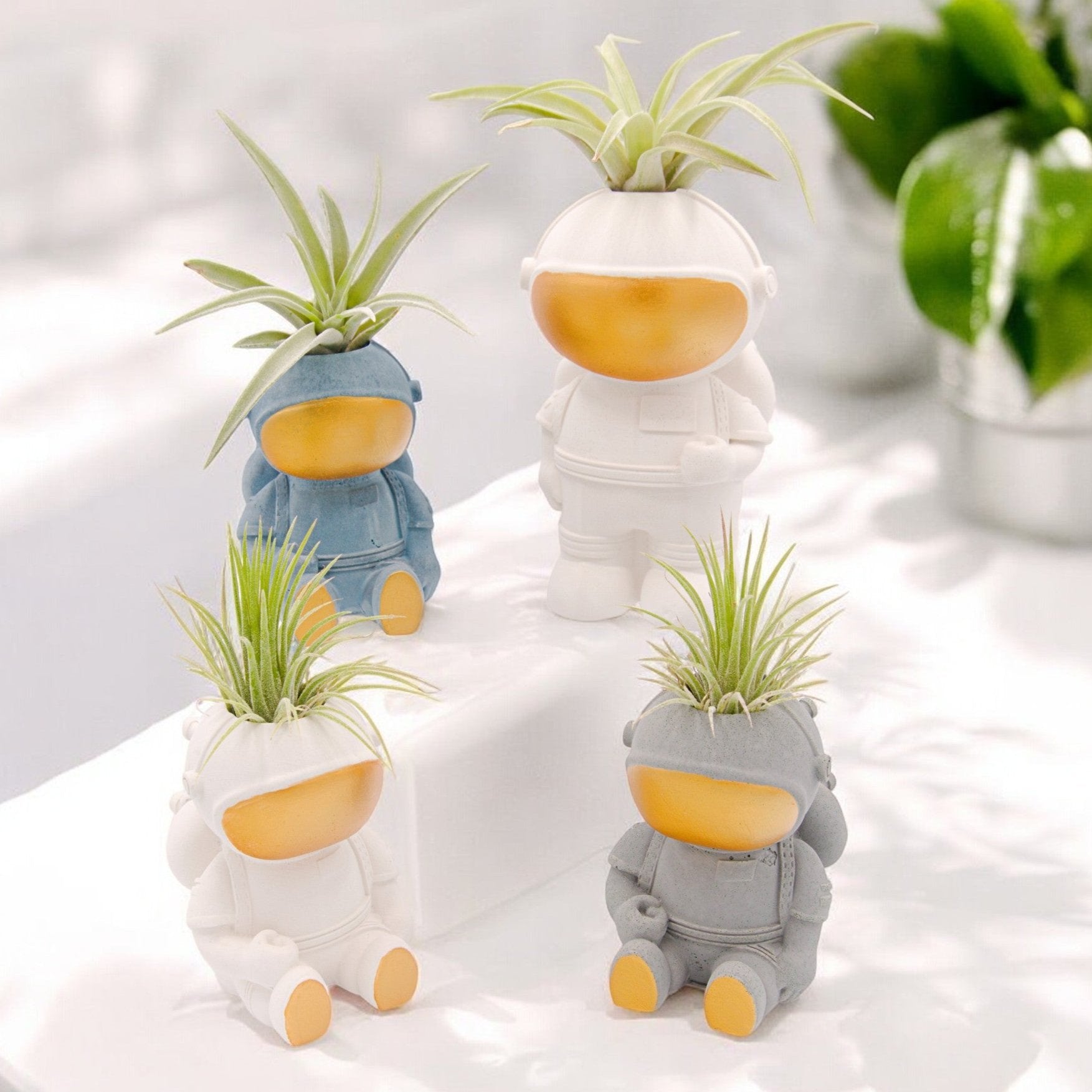 astronaut air plant Astronaut Airplant Pot – Plant Babies Terrariums