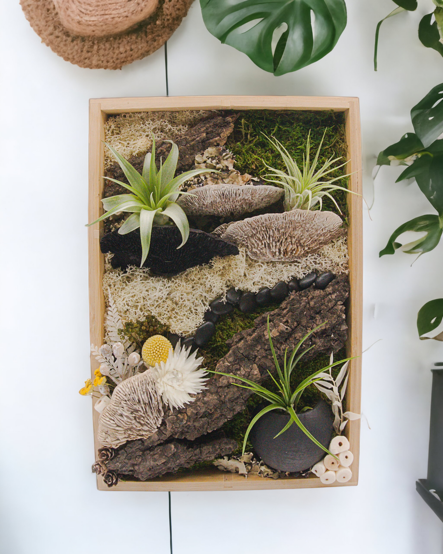 Bamboo Airplant Frames - Black & White Mushrooms