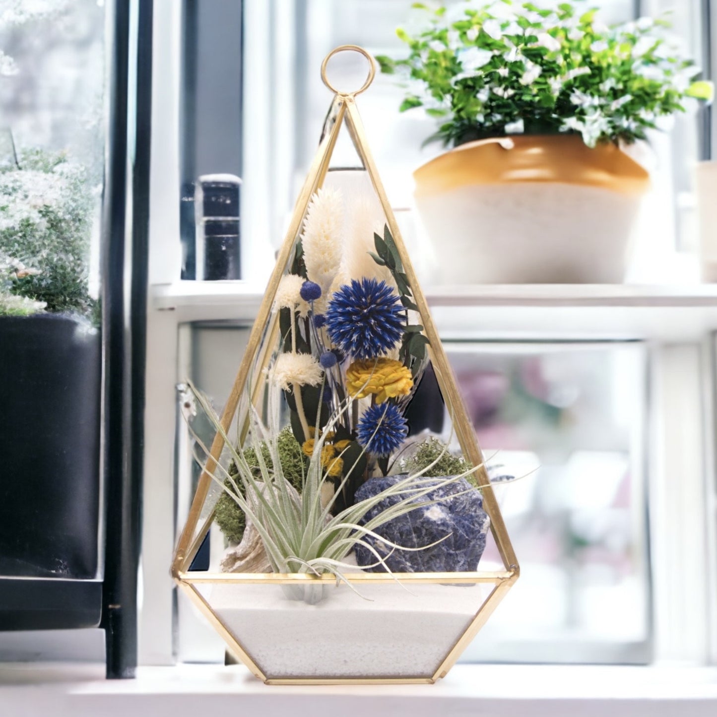Large Victorian Airplant Terrarium with Blue Sodalite