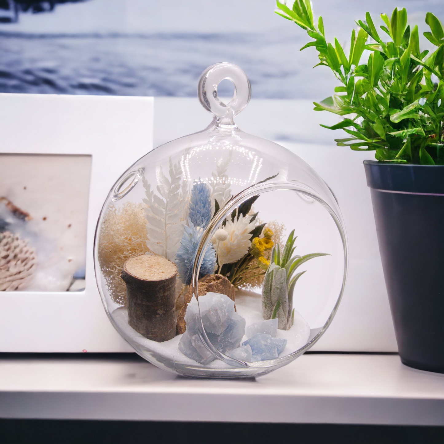 Airplant terrarium in a glass bubble vase with dried flowers and blue calcite crystals.
