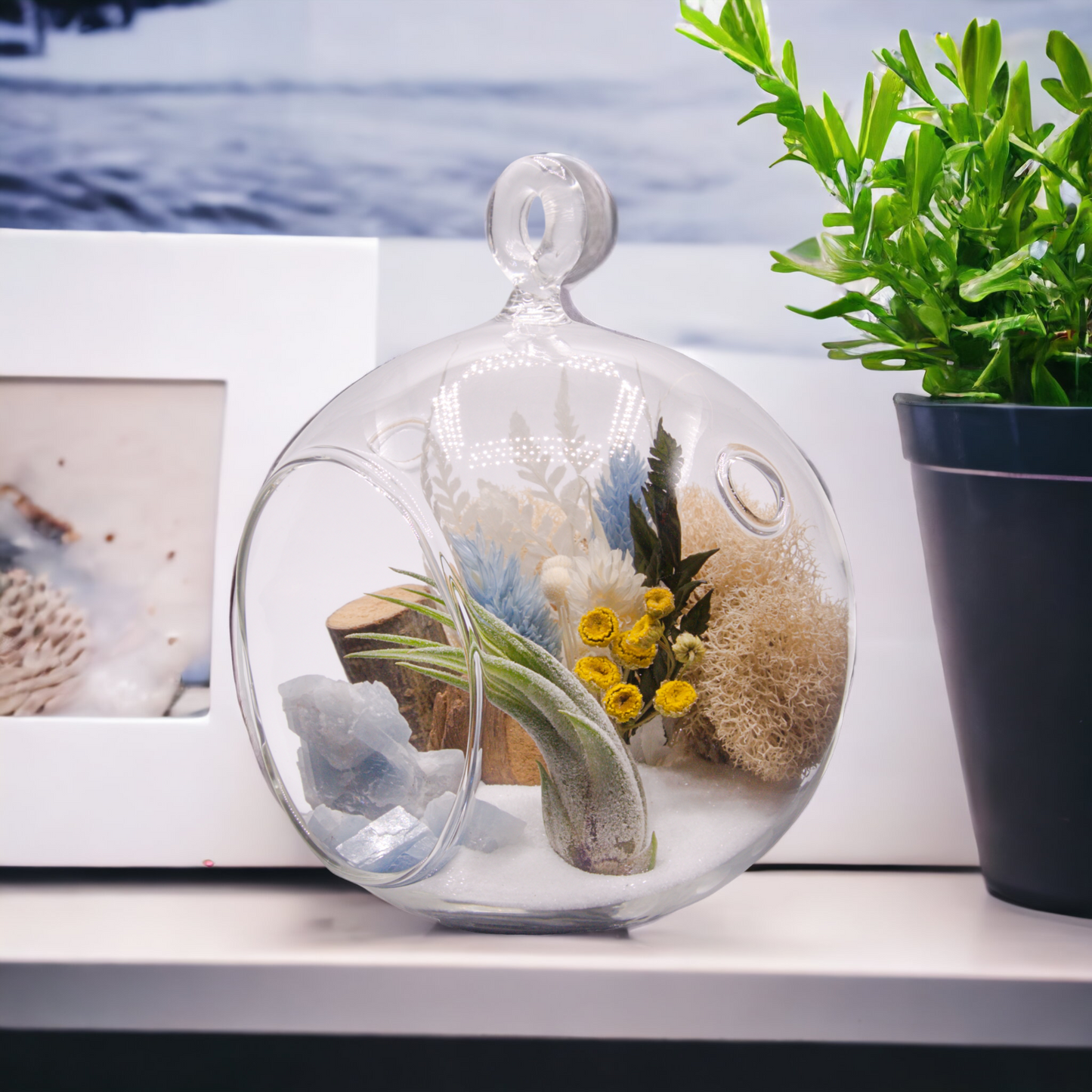Terrarium à bulles de plante aérienne - Calcite bleu