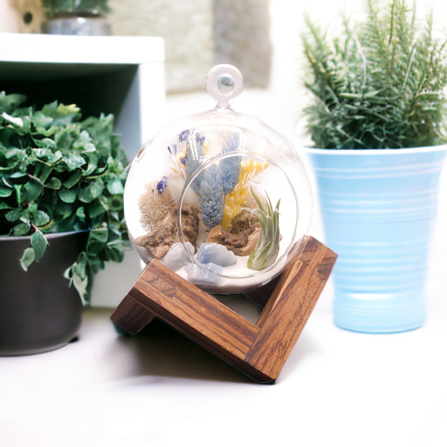 Glass bubble terrarium with airplant, dried flowers and blue calcite crystals