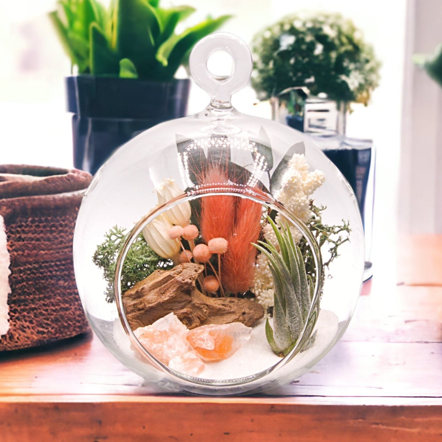 Terrarium à bulle de plante aérienne - cristaux de calcite tri-colorées