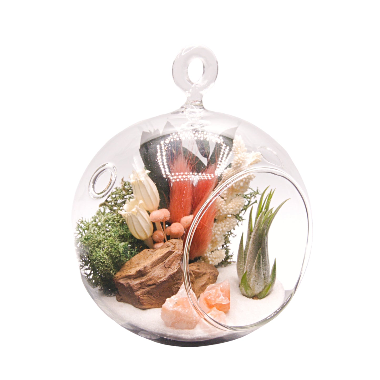 Glass bubble airplant terrarium with dried flowers and tri-coloured crystals