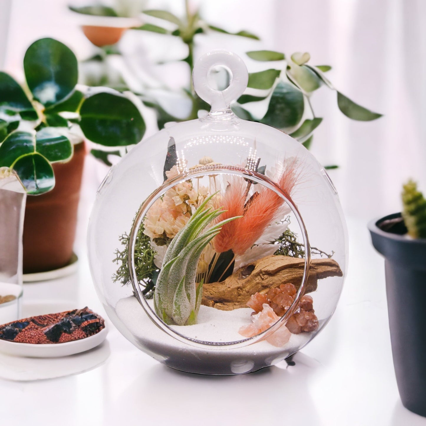 Glass bubble airplant terrarium with dried flowers and aragonite crystals