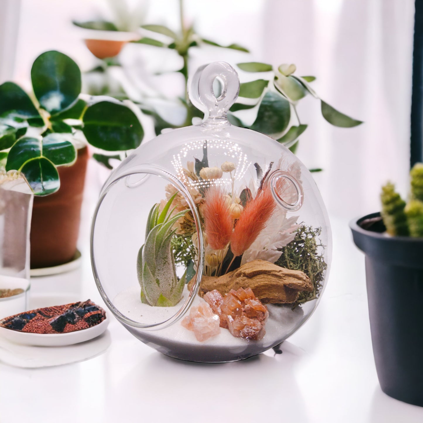 Glass bubble airplant terrarium with dried flowers and aragonite crystals