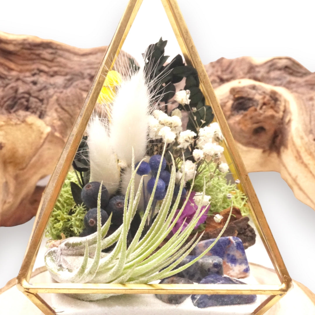 Terrarium Victorien - Sodalite bleu