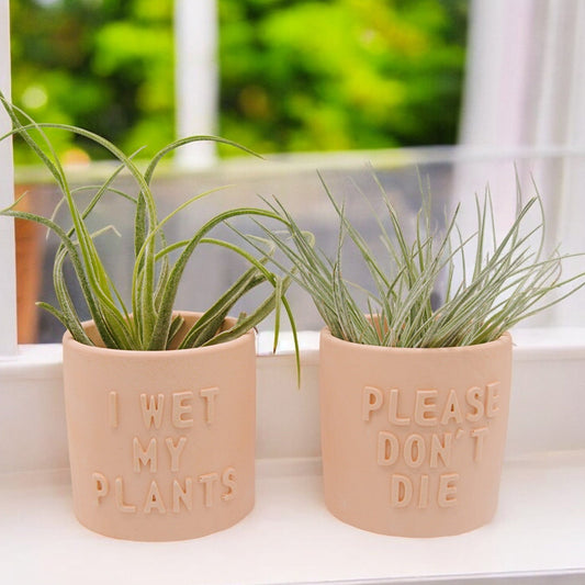 Handmade hydrostone airplant pots with funny sayings I wet my Plants or Please Don't Die