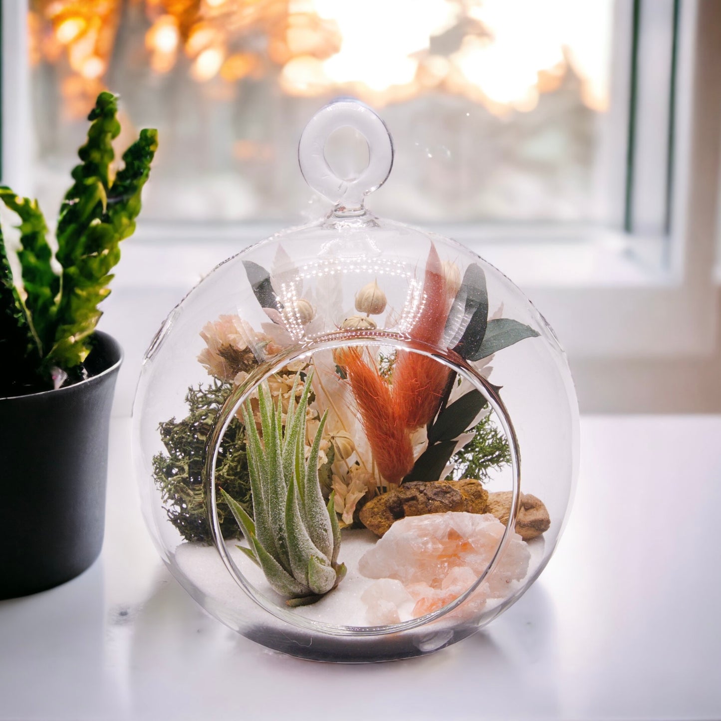 Terrarium à bulle de plante aérienne - cristaux de calcite tri-colorées