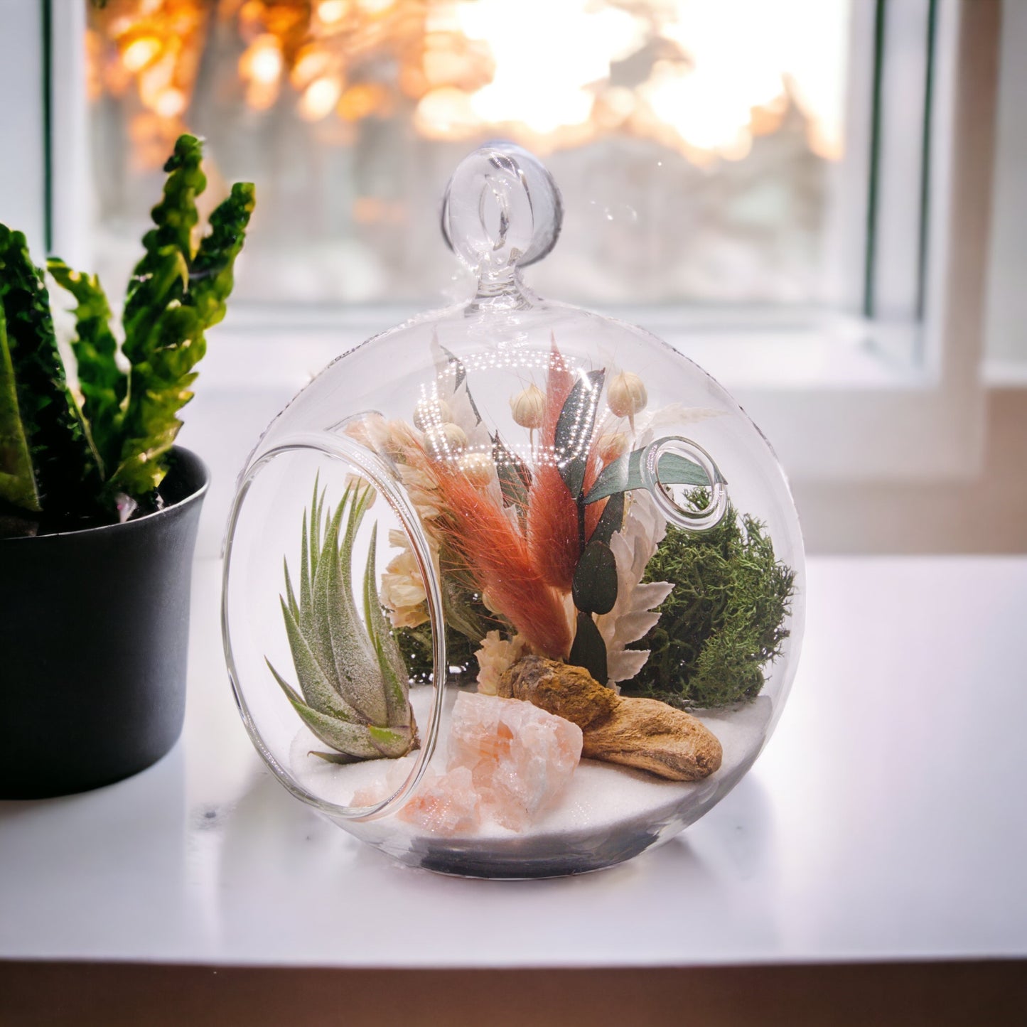 Terrarium à bulle de plante aérienne - cristaux de calcite tri-colorées