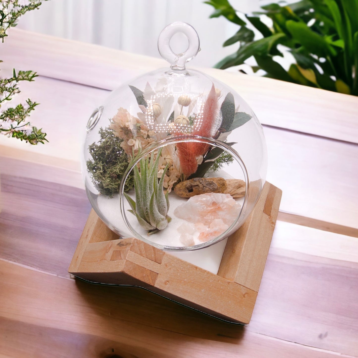 Terrarium à bulle de plante aérienne - cristaux de calcite tri-colorées