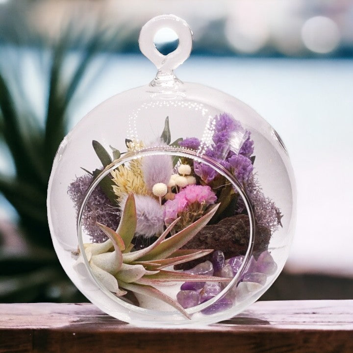 Glass bubble airplant terrarium with purple dried flowers, sand, moss, wood, amethyst crystals and an airplant