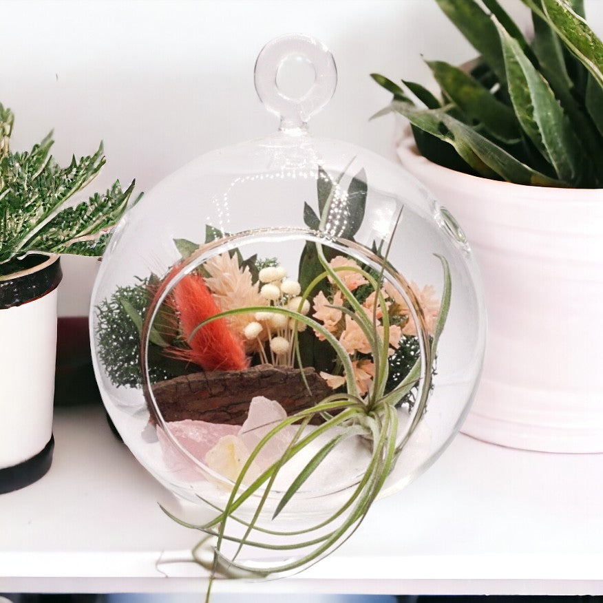 Glass bubble airplant terrarium with peach dried flowers, sand, moss, wood and rose quartz crystals