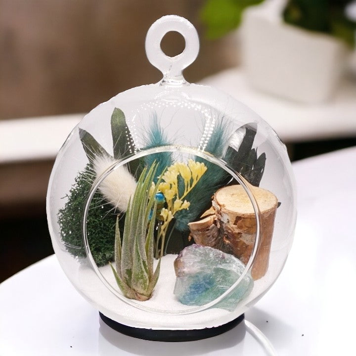 Bubble Airplant Terrarium Small - Green