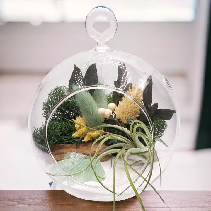 Bubble Airplant Terrarium Small - Green