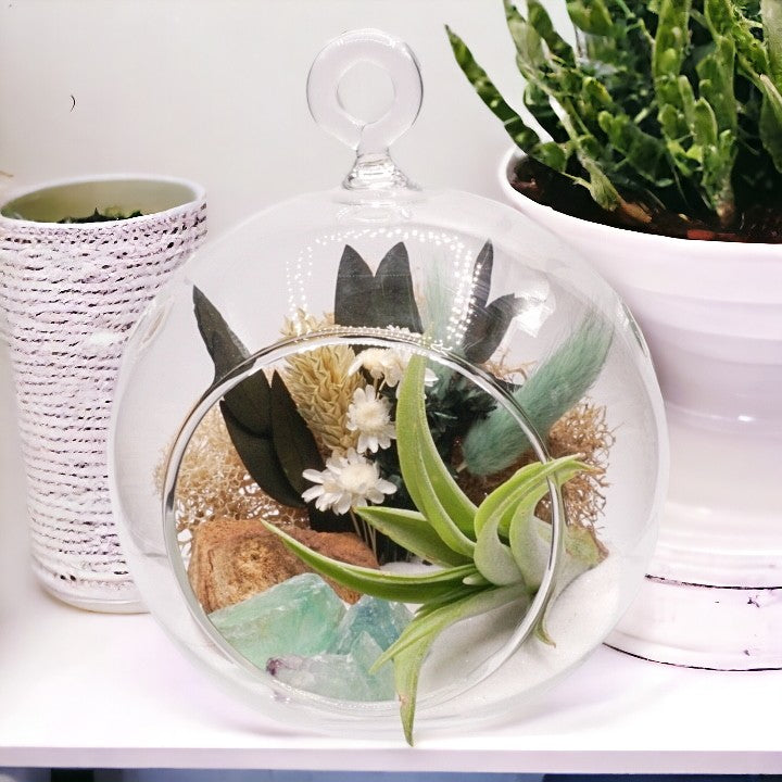 Bubble Airplant Terrarium Small - Green