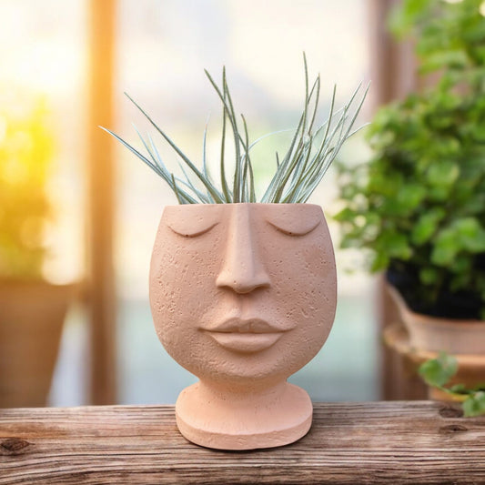 Handmade cement airplant pot serene face