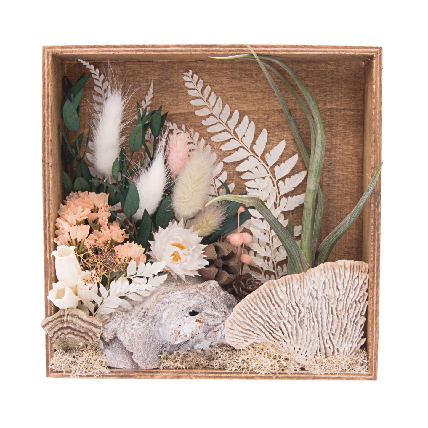 Stained wood box frame filled with dried flowers, wood, moss, dried mushrooms and an airplant