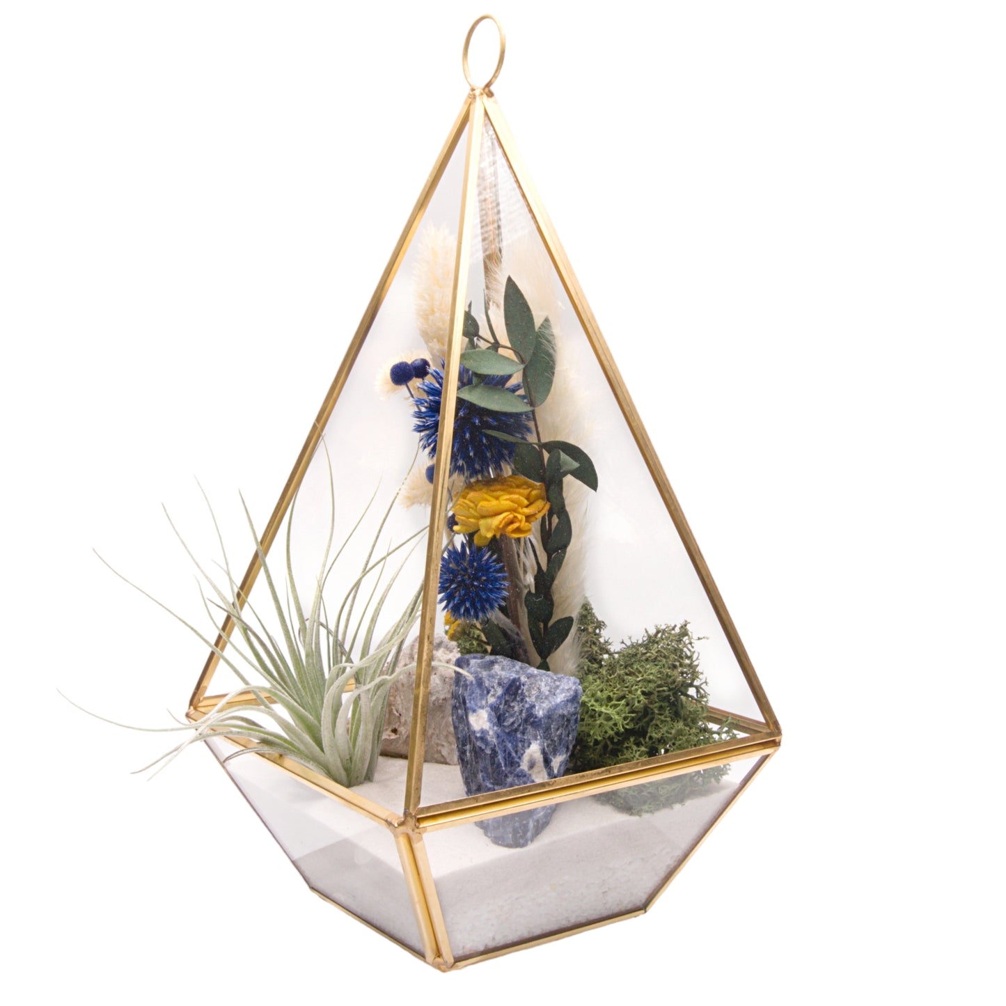 Large Victorian Airplant Terrarium with Blue Sodalite