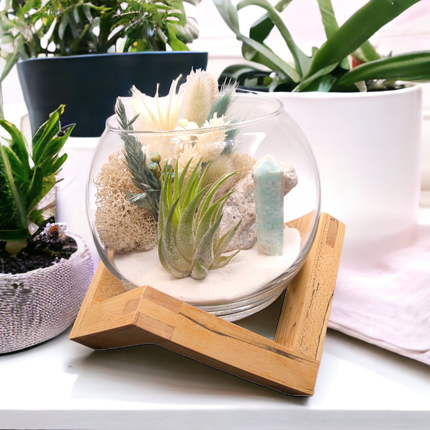 Terrarium à bol avec une plante aérienne - Calcite des Caraïbes