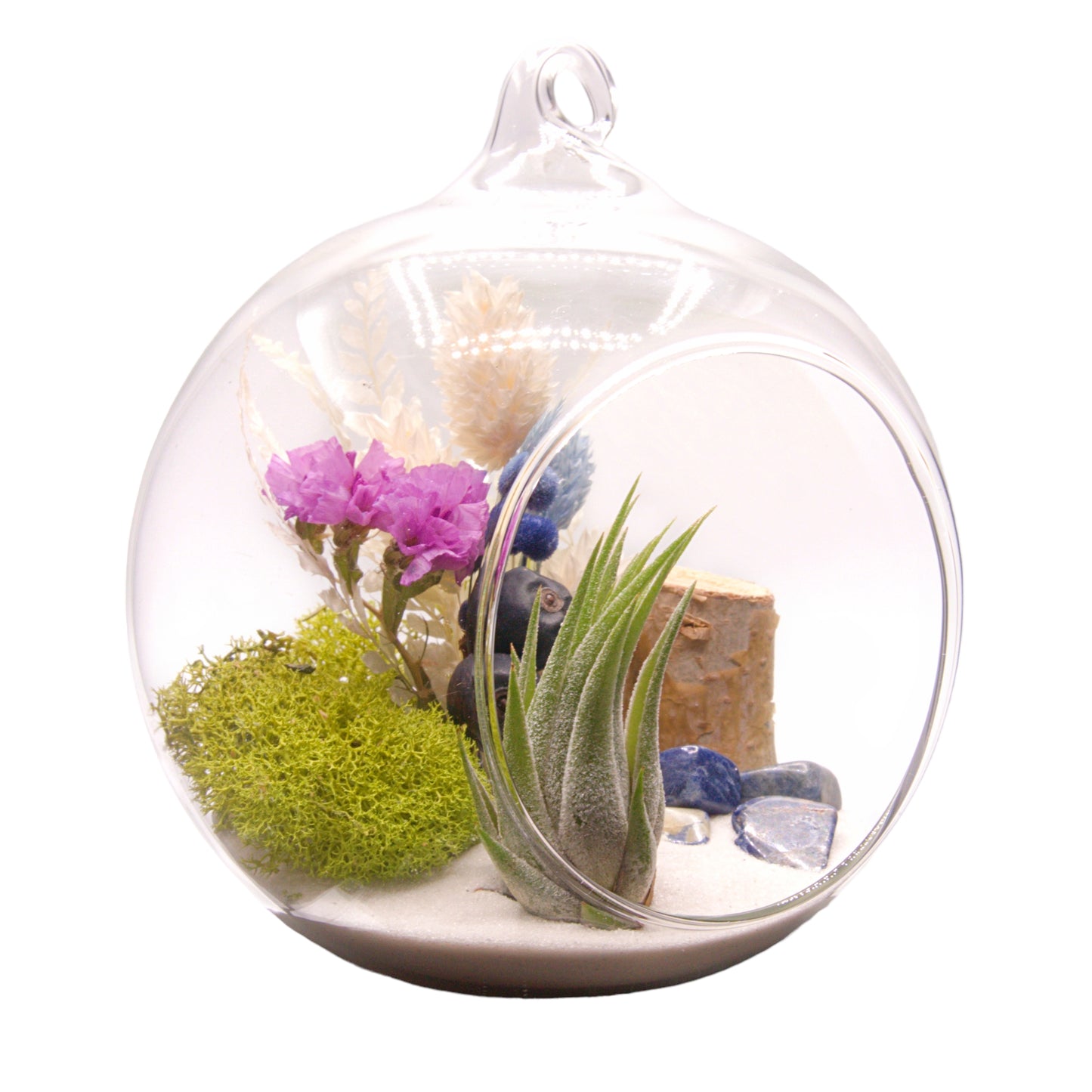 Small Bubble Airplant Terrarium - Sodalite
