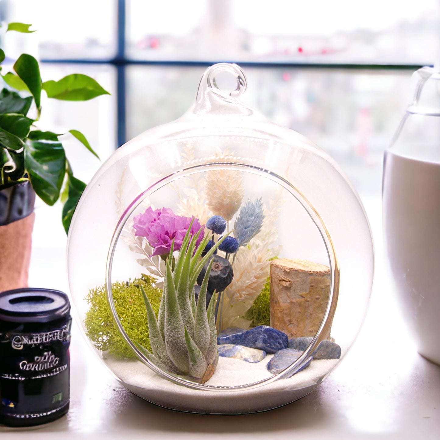 Small Bubble Airplant Terrarium - Sodalite