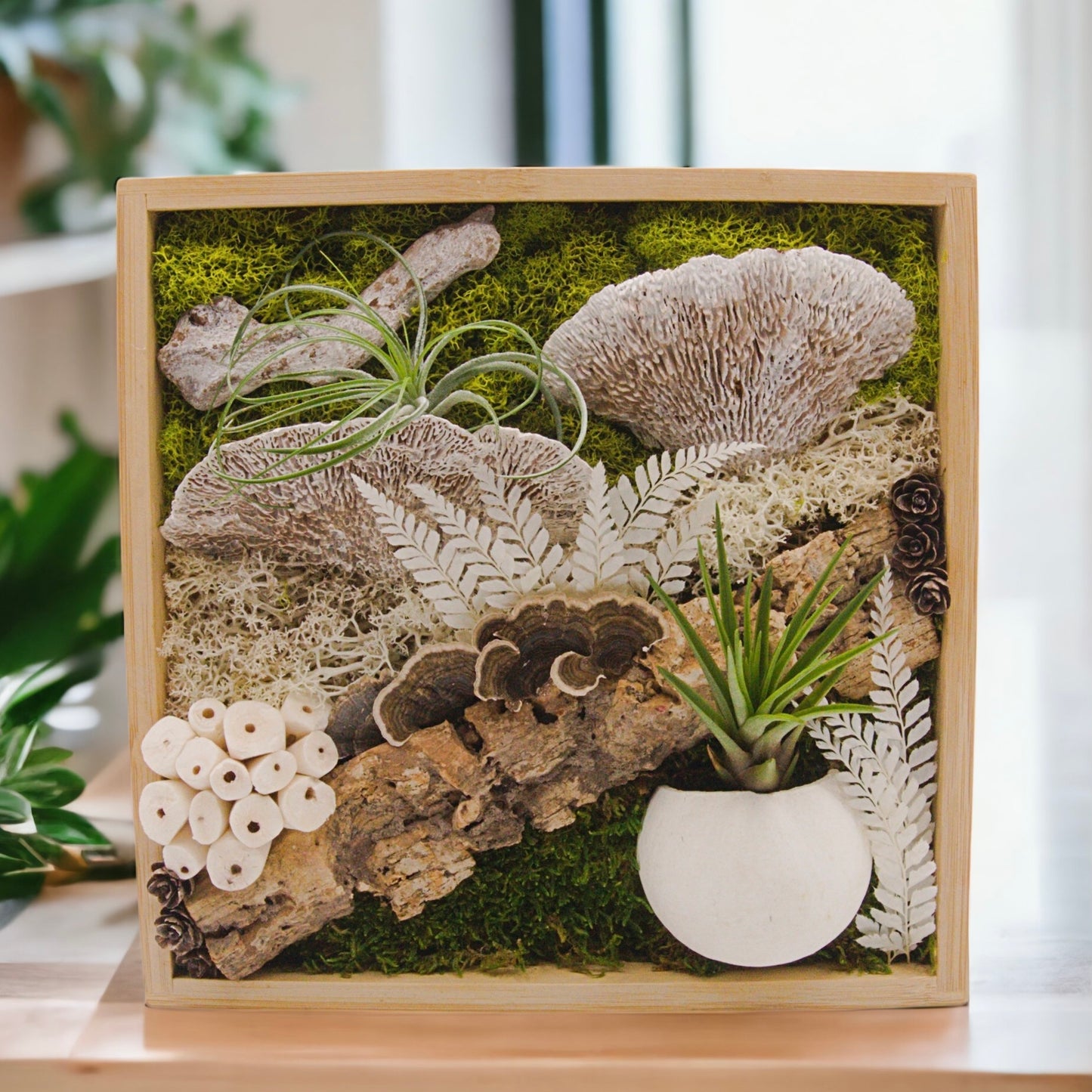 Bamboo box frame filled with moss, preserved mushrooms, wood and two airplants