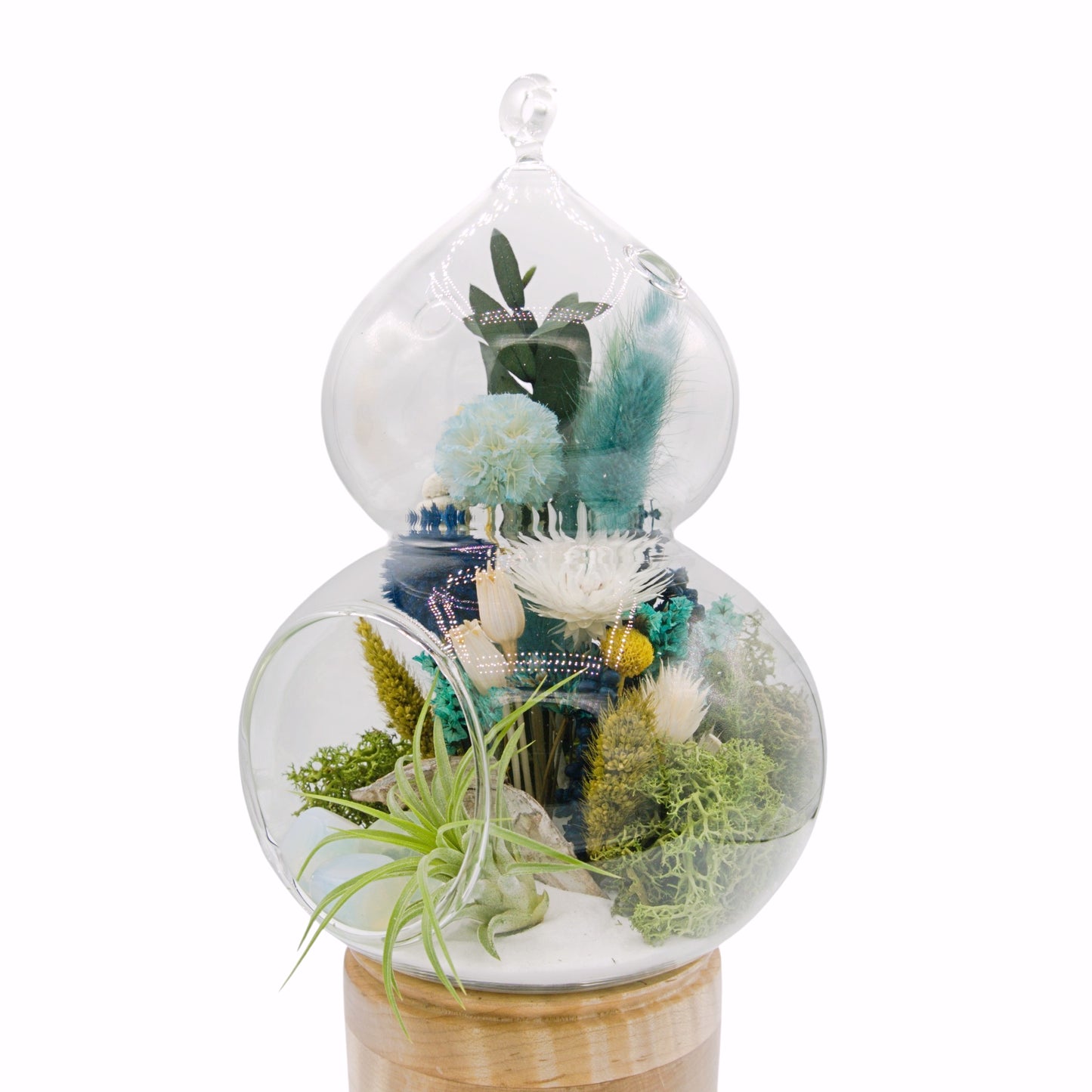 Terrarium plantes aérienne d'inspiration marocaine