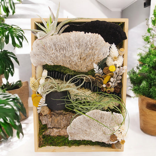 Bamboo Airplant Frames - Black & White Mushrooms