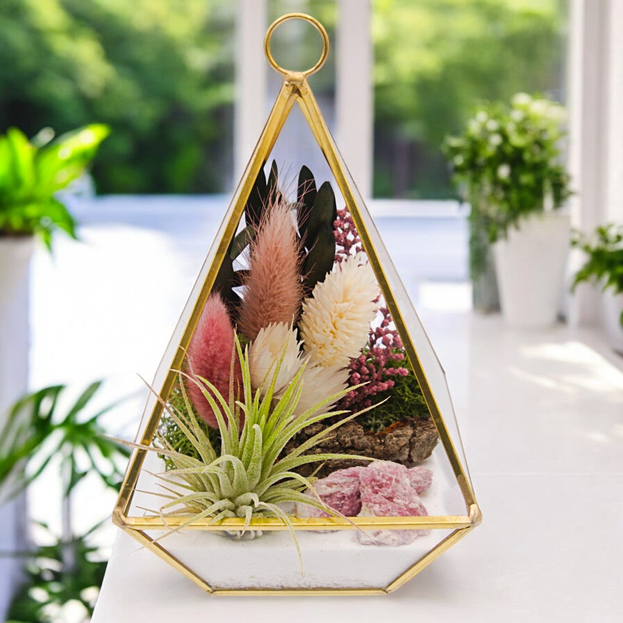 Victorian Airplant Terrarium Small - Pink