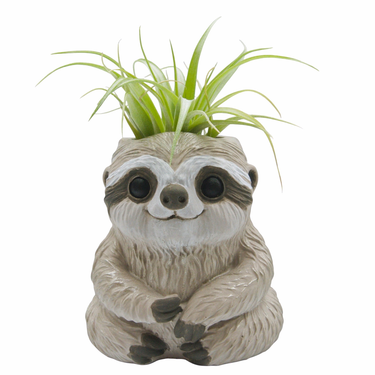 plant.sloot Slomo the Sloth Airplant Pot – Plant Babies Terrariums
