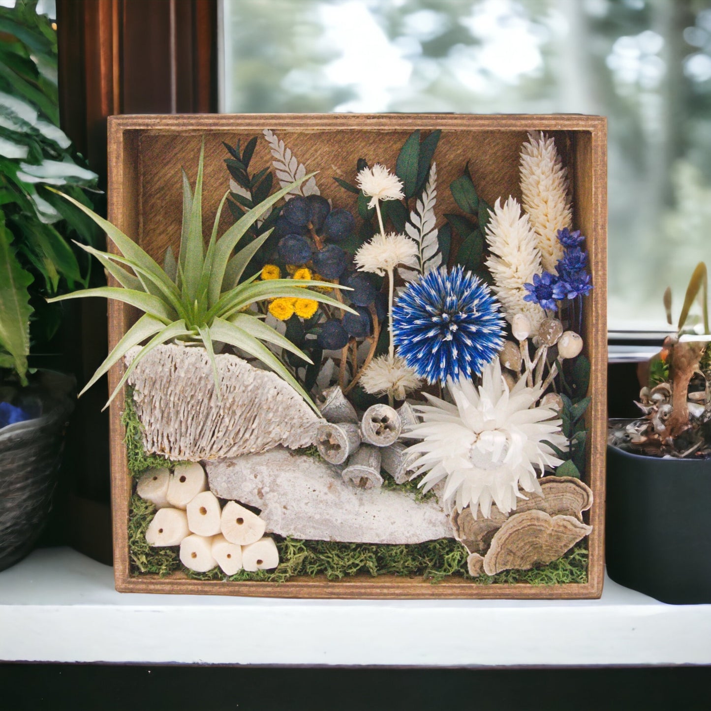 Wooden box frame stained with dried flowers, wood, moss, dried mushrooms and an airplant, blue flowers