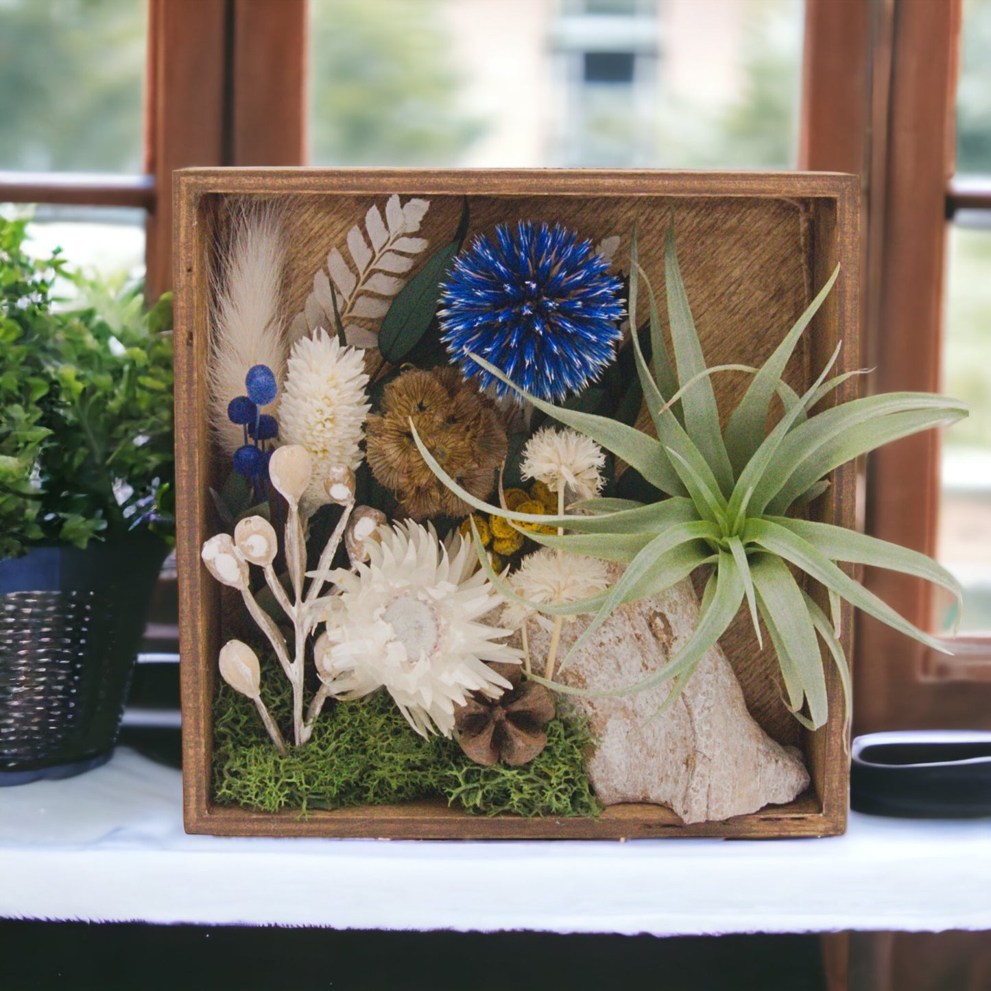 Wooden box frame stained with dried flowers, wood, moss, dried mushrooms and an airplant, blue flowers