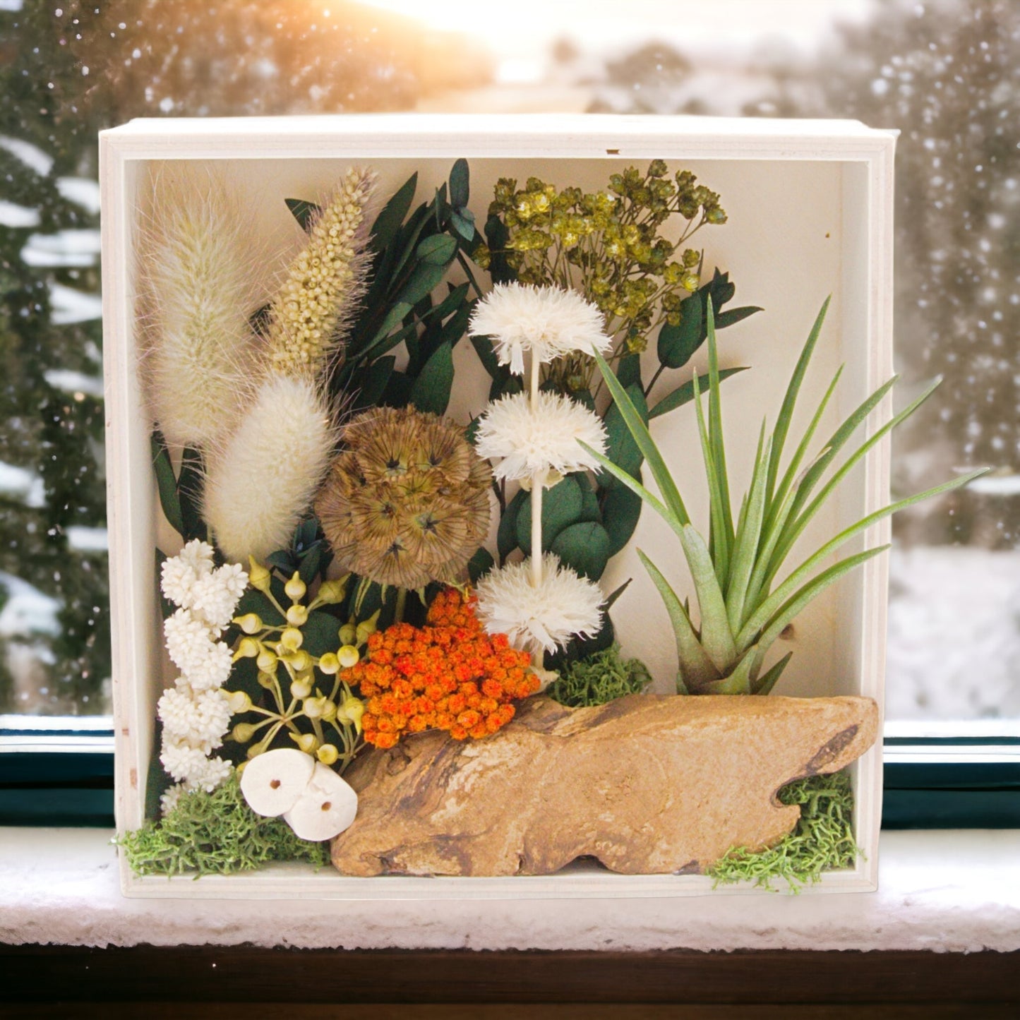 Square wooden box frame filled with dried flowers, wood, moss, dried mushrooms and an airplant