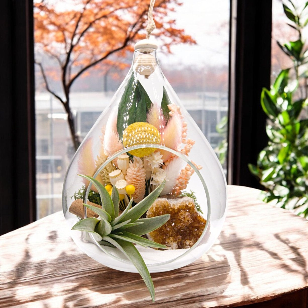 Teardrop airplant terrarium with citrine crystal, dried flowers, moss & wood