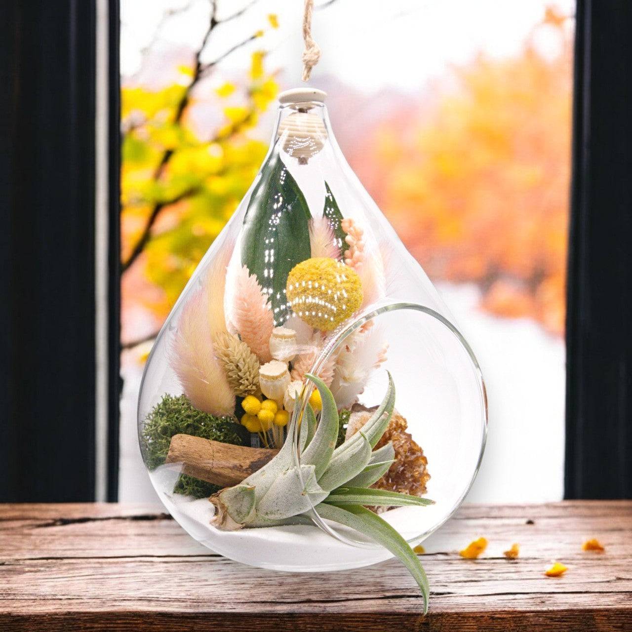 Teardrop airplant terrarium with citrine crystal, dried flowers, moss & wood