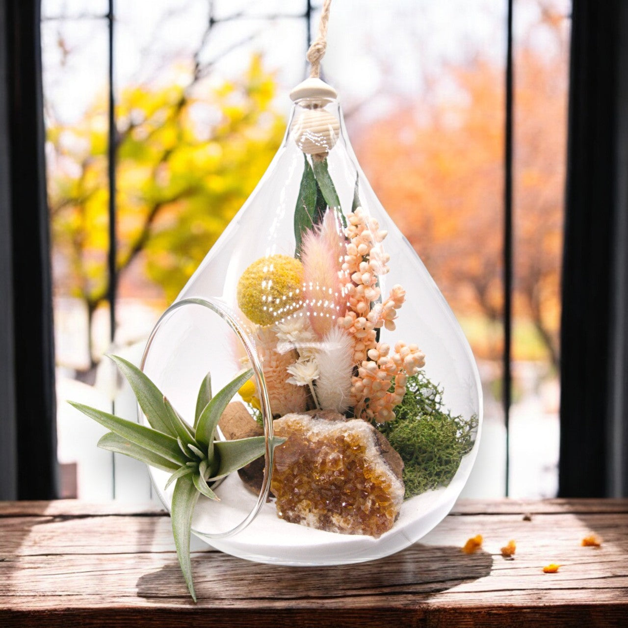 Teardrop airplant terrarium with citrine crystal, dried flowers, moss & wood