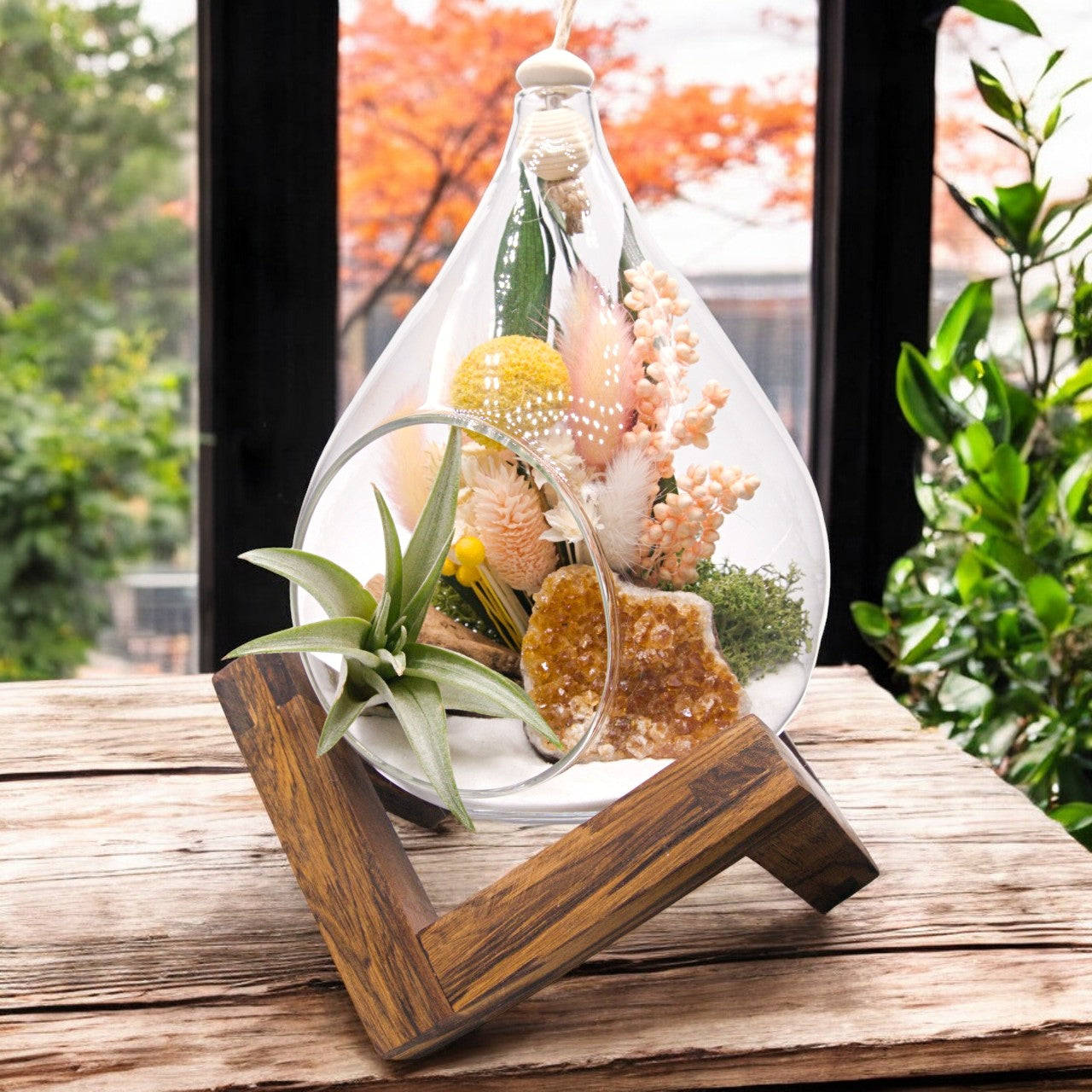 Teardrop airplant terrarium with citrine crystal, dried flowers, moss & wood