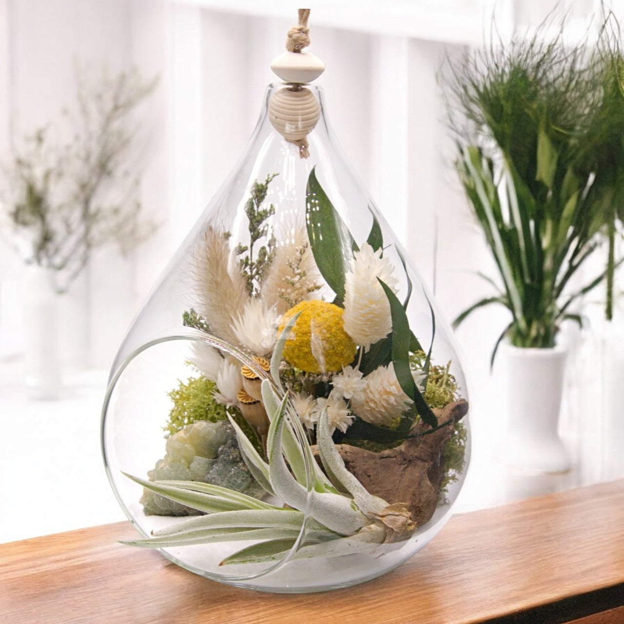 Teardrop airplant terrarium with epidote crystal, dried flowers, moss and wood