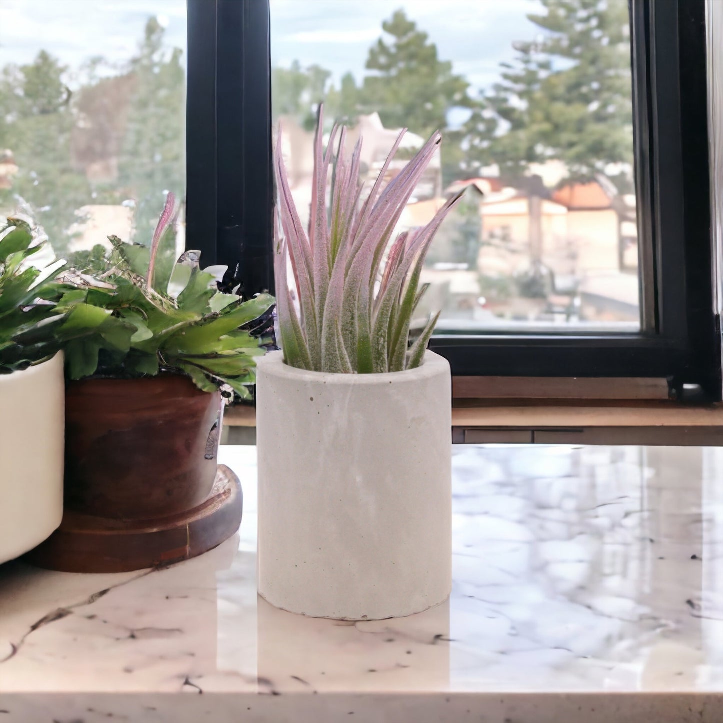 Pots de plantes aériennes en ciment marbré gris et blanc